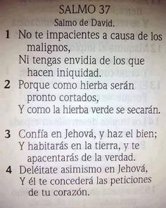 an open book with the words salmo 37 written in spanish and english on it