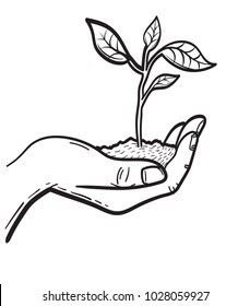 a hand holding a small plant with leaves