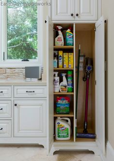 the inside of a cabinet with cleaning products in it