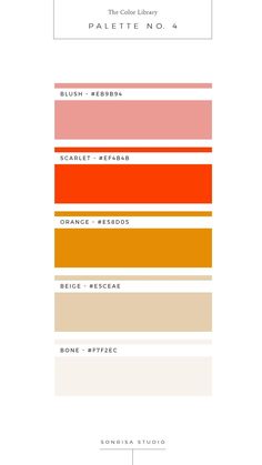 an orange and gray color scheme with the words, palette no 6