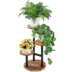 three tiered plant stand with potted plants