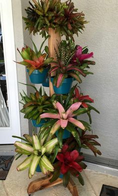 there are many different types of flowers in the potted planter on this stand