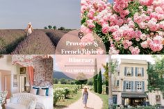 a collage of photos with pink flowers and lavender fields