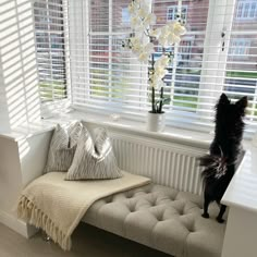 a black dog standing on its hind legs looking out the window with white shutters