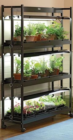 several shelves filled with plants and potted plants