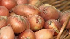 a basket filled with onions sitting on top of a table