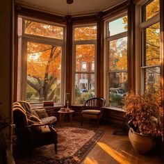 a living room filled with furniture and large windows covered in fall leaves, next to a tree