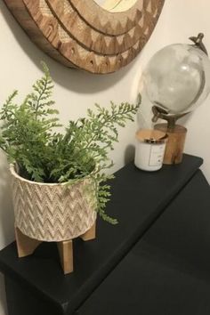 a potted plant sitting on top of a black shelf next to a mirror and clock