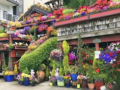 many flowers are growing on the roof of this building