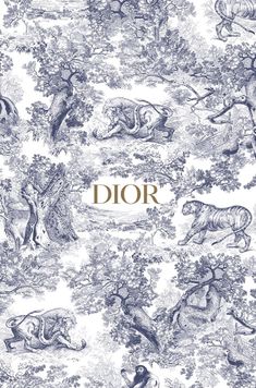 the front cover of dior's book, with an image of horses and lions