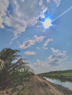 the sun shines brightly over a dirt road next to a body of water and palm trees