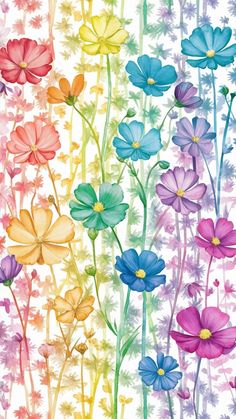 an image of colorful flowers on a white background