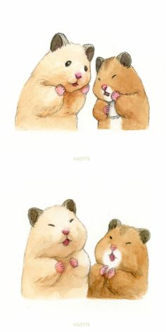 two pictures of hamsters with their mouths open, one is biting the other's nose