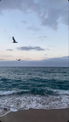 two seagulls flying over the ocean on a beach at dusk with waves coming in