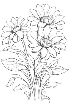 some flowers that are drawn in black and white