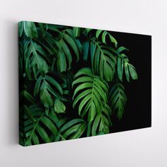 a green leafy plant on a black background is featured in this wall art piece