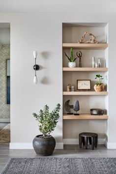 a living room filled with lots of shelves next to a potted plant on top of a rug