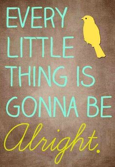 a yellow bird sitting on top of a wooden sign that says, every little thing is gon na be alright