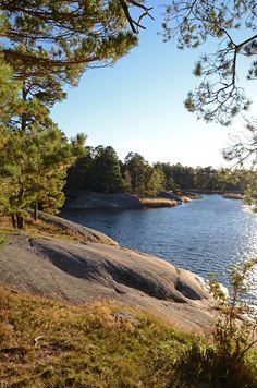 there is a large body of water in the middle of trees and grass on the shore