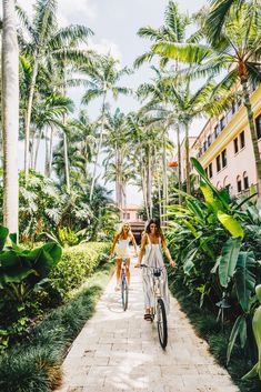 two people riding bikes down a path between palm trees and buildings in the background,