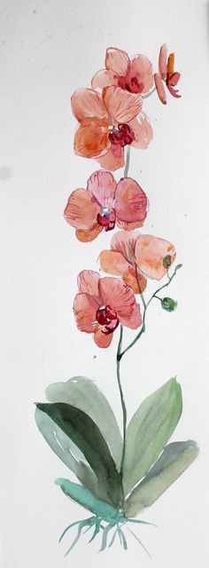 watercolor painting of pink flowers on white paper with green leaves in the foreground