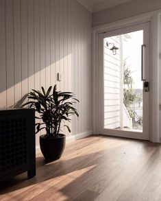 a potted plant sitting on top of a hard wood floor next to a door