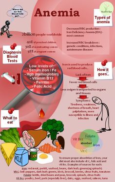 -#AnemiaAwareness - #IronDeficiency - #AnemiaPrevention - #HealthyBlood - #RedBloodCells - #IronRichFoods - #NutritionMatters - #HealthEducation - #WellnessTips - #AnemiaSucks - #FightAnemia - #AnemiaWarrior - #HealthyLiving - #BloodHealth - #AnemiaSupport Fat Burning Meal Plan, Foods With Iron, Iron Rich Foods, Iron Deficiency, Blood Test, Autoimmune Disease, Health Matters, Health Info, Health Remedies