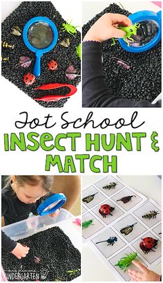 the insect hunt and match activity is fun for kids to do with their own hands