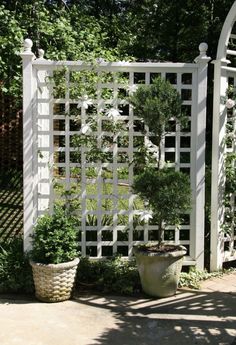 a white trellis and potted plants in front of a gated garden area