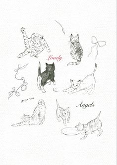 an image of cats that are in the air with captioning words above them