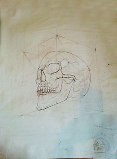 a drawing of a human skull on a piece of paper