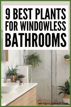 bathroom with plants in the corner and text that reads 9 best plants for windowless bathrooms