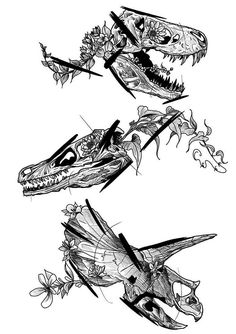 three drawings of different types of dinosaurs