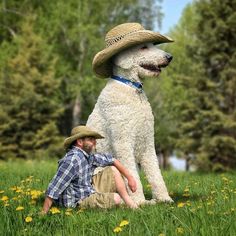 a man kneeling down next to a white dog wearing a straw hat on top of it's head