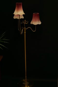 a floor lamp with two lamps on top of it and a potted plant in the background