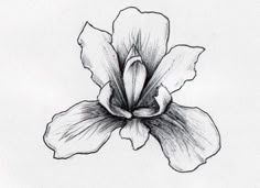 a black and white drawing of a flower