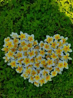 flowers arranged in the shape of a heart on top of green grass and plants around them