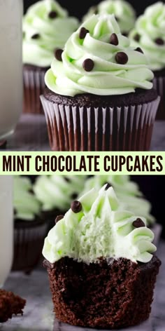 chocolate cupcakes with white frosting and green sprinkles on top