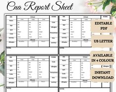 the printable one report sheet is shown in three different colors and font, along with two