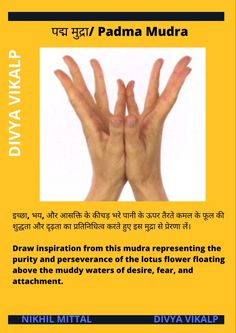 Padma Mudra, Mudras Meanings, Color Therapy Healing, The Lotus Flower, Hand Mudras, Chakra Health, Yoga Facts, Mantra For Good Health, Yoga Hands