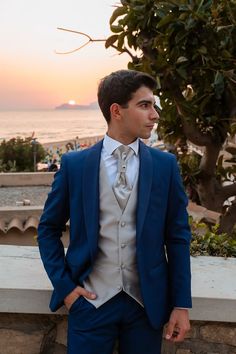 a man wearing a blue suit and tie standing next to a tree with the ocean in the background