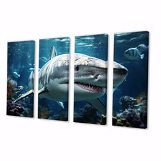 an image of a shark in the water with other fish around it's edges