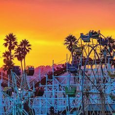 an amusement park at sunset with palm trees and roller coasters in the foreground