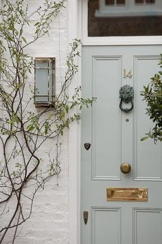 the front door is painted blue and has two plants growing on it's side