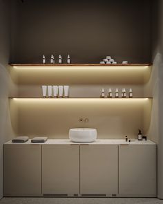 a white sink sitting on top of a counter next to a shelf filled with bottles