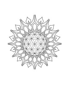 a drawing of a flower with many petals in the shape of a sunburst