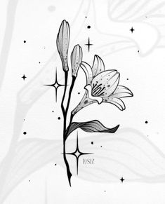 a black and white drawing of a flower with stars in the sky behind it on paper