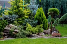 the garden is full of trees and rocks