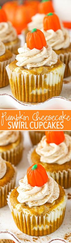 pumpkin cupcakes with cream cheese frosting and mini pumpkins on top for decoration