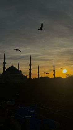 birds flying in the sky at sunset over a large building with many minarets